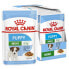 ფოტო #2 პროდუქტის ROYAL CANIN Mini Puppy 85g Wet Dog Food 12 Units