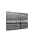 Фото #2 товара Danny Head Gray Skies Canvas Art - 20" x 25"