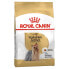 Фото #2 товара ROYAL CANIN Yorkshire Terrier Adult 3kg Dog Food