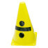 SOFTEE Division Training Cone