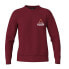 Фото #1 товара ULLER Las leñas sweatshirt