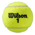 Wilson Roland Garros All Court 4