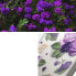 Фото #10 товара Pancerne etui pokrowiec z żelową ramką iPhone 14 Plus Fusion Design Purple Rose przezroczysty