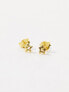 Фото #3 товара Kingsley Ryan gold plated cut out star stud earrings in gold