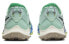 Кроссовки Nike Air Zoom Terra Kiger 8 DH0654-301