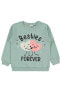 Фото #1 товара Kız Çocuk Sweatshirt 2-5 Yaş Çağla Yeşili