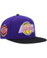 ფოტო #2 პროდუქტის Men's Purple Los Angeles Lakers Hardwood Classics Coast to Coast Fitted Hat