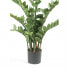 Фото #8 товара Искусственные цветы Emerald Zamioculcas pflegeleicht 110 см