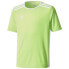 ADIDAS Entrada 18 short sleeve T-shirt