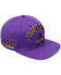 Men's Purple Alcorn State Braves Evergreen Arch Over Logo Snapback Hat