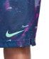 Фото #7 товара Шорты для малышей Nike Графические Шорты на весь деньная игра Dri-FIT