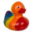 Rainbow Squeaking Duck