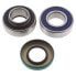 All BALLS 14-1019 Ski Doo Bearing&Seal Differential Kit - фото #1