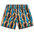 Фото #1 товара G-STAR Dirik Ao Swimming Shorts