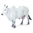 Фото #2 товара SAFARI LTD Ongole Cow Figure