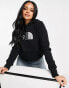 Фото #1 товара The North Face Drew Peak hoodie in black