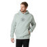 Фото #1 товара HELLY HANSEN Graphic hoodie