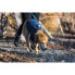 Фото #10 товара Флисовый свитер для собак Ruffwear Climate Changer Blue Jay