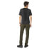 SALEWA Pedroc 4 DST Reg pants