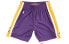 Mitchell Ness AU ASHRGS18039-LALPURP08 Purple Pants