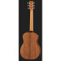 Furch LJ-10SM Spruce Little Jane