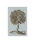 Фото #1 товара Vision Studio Antique Tree in Sepia I Canvas Art - 15" x 20"