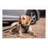 Dog Harness Company of Animals CarSafe Black Size S