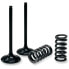 PROX Suzuki LT-R 450 28.SES3406-1 Springs intake valve