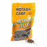 MOTABA Method 800g Mango&Butyric Pellets