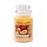 Mango Peach Salsa Aromatic Candle 623 g