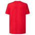 Фото #2 товара OAKLEY APPAREL Gradient Lines B1B RC short sleeve T-shirt