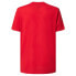 Фото #3 товара OAKLEY APPAREL Gradient Lines B1B RC short sleeve T-shirt