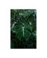 PhotoINC Studio Tropical 3 Canvas Art - 36.5" x 48"