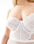 Фото #6 товара Ivory Rose Fuller Bust Bridal Vienna DD-G mesh lace bodysuit in white