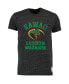 ფოტო #1 პროდუქტის Men's Heather Black Hawaii Warriors Vintage-Like Rainbow Warriors Tri-Blend T-shirt