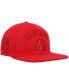 ფოტო #1 პროდუქტის Men's Red Brooklyn Nets Cherry Wool Snapback Hat