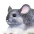 SAFARI LTD Chinchilla Figure