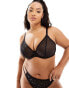 Фото #1 товара Ivory Rose Curve high apex sheer mesh bra in black lurex spot