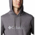 COLUMBIA CSC Basic Logo II hoodie