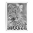 Фото #1 товара Kunstdruck Leopard