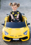 Фото #24 товара Toyz Samochód auto na akumulator Caretero Toyz Lamborghini Aventador SVJ akumulatorowiec + pilot zdalnego sterowania - żółty