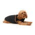 FUZZYARD Ivanhoe Dog Jacket