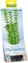 Фото #1 товара Tetra DecoArt Plant M Ambulia