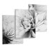 Leinwandbilder Set Blumen Löwenzahn 3D