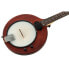 Фото #4 товара Gold Tone EB-5 Electric 5 string Banjo