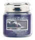 Фото #1 товара Scented candle (Sugar Plum) 92 g