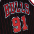 Фото #3 товара MITCHELL & NESS NBA AUTHENTIC JERSEY CHICAGO BULLS 1995 DENNIS RODMAN