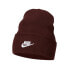 Фото #1 товара Nike SB Beanie Utility Futura