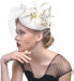 Фото #1 товара xwanli Fascinator Hair Clip Hair Accessory Tea Party Wedding Church Headpiece for Women