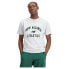 Фото #5 товара NEW BALANCE Athletics Varsity Graphic short sleeve T-shirt